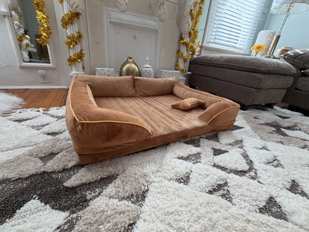 Molly's New Bed In Brown