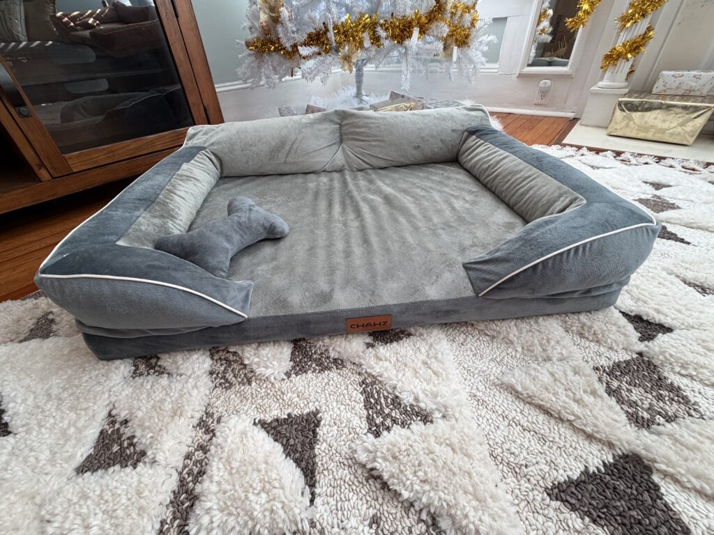 Molly's New Bed In Gray