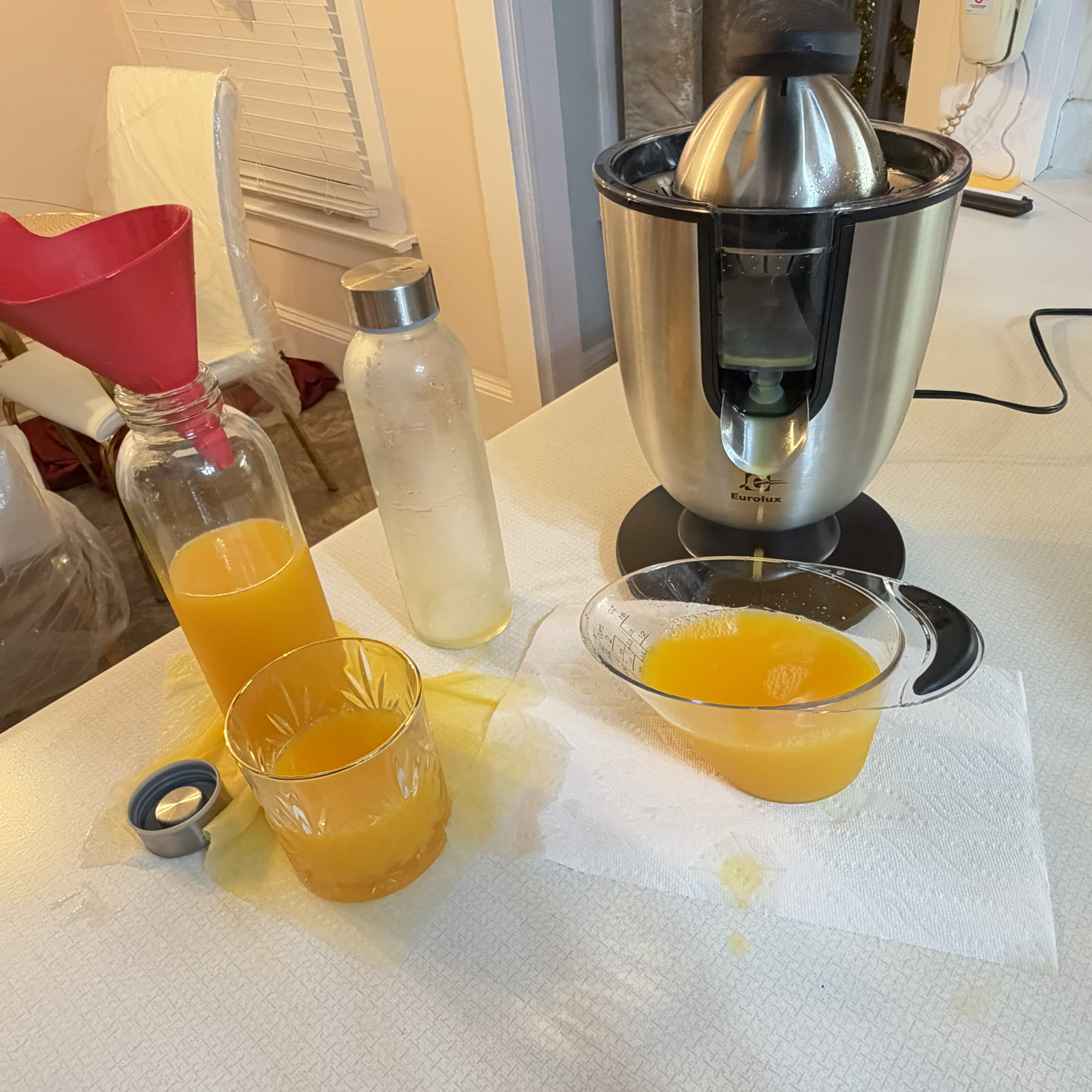 Eurolux stainless steel citrus juicer | chris & candy